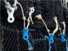 Survey Lobster Pots © Baerbel Rautenberg